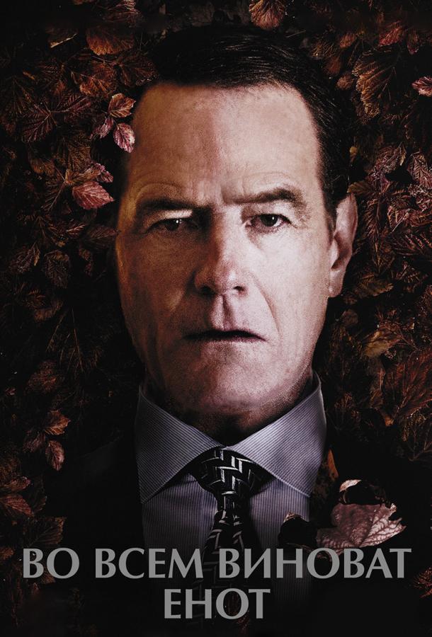 Фильм Во всем виноват енот (2016) смотреть онлайн
